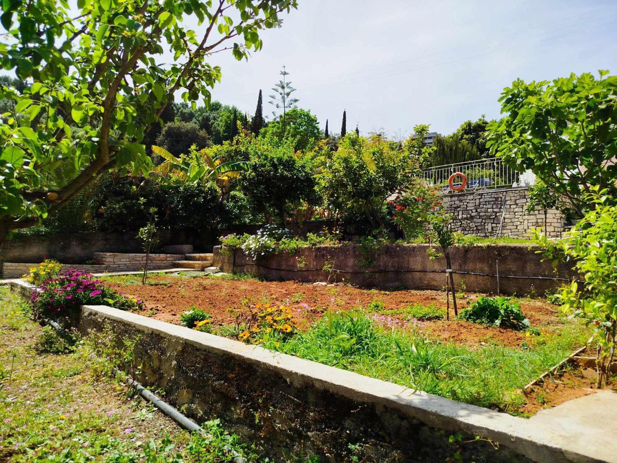 Villa Lemonia Kalami  Ngoại thất bức ảnh